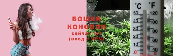 ПСИЛОЦИБИНОВЫЕ ГРИБЫ Богданович