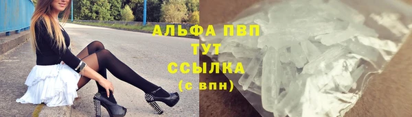 ПСИЛОЦИБИНОВЫЕ ГРИБЫ Богданович
