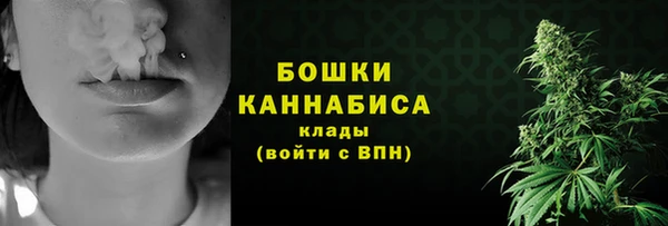 ПСИЛОЦИБИНОВЫЕ ГРИБЫ Богданович