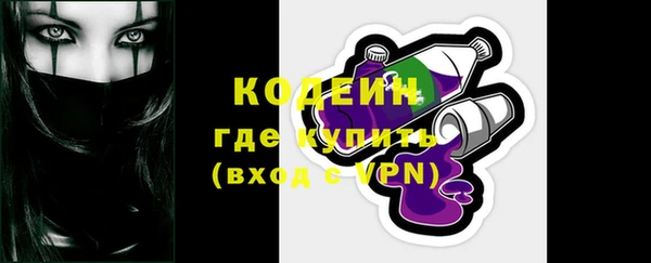ПСИЛОЦИБИНОВЫЕ ГРИБЫ Богданович