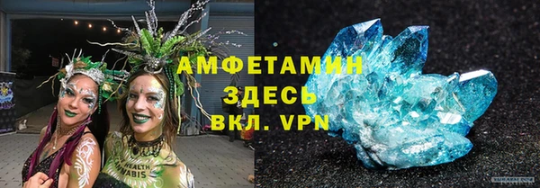 ПСИЛОЦИБИНОВЫЕ ГРИБЫ Богданович