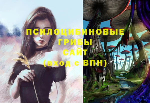 МДМА Арсеньев